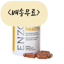 [늘품스토어] 엔조 리브 헬시 뉴질랜드 엔조제놀 60개입, 1개, 60개