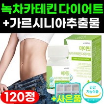 녹차 카테킨 다이어트 뱃살 체지방 얼굴살 붓기 빼기 가르시니아 추출분말 식약처 인증 식약청 인정 식후 LDL 콜레스테롤 감소 관리 개선 도움 비타민c 영양제 캡슐 120정 2통