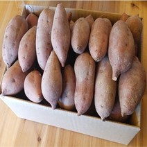 해남 황토밭 호박 꿀 고구마 3kg5kg10kg, 1박스, 꿀고구마10kg(왕품)개당300g이상