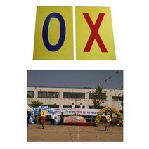 뉴페이스 단면 OX 퀴즈판 게임