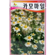 식물의집 카모마일 허브씨앗 씨