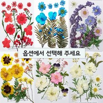 압화 레진 공예 꽃 책갈피 편지 만들기 종합팩 HF-A00 (옵션선택), HF-A05(블루계열)