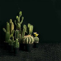 아사셀렉션 실용적인 일체형 고급 인테리어 화분 4종 1, 카론