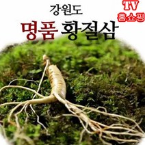 20년근산양산삼황절삼 TOP 가격비교
