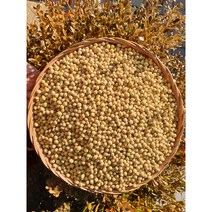 [서천특화시장] 22년 국내산 백태 메주콩 1kg 충남 서천 로컬푸드