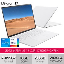 LG그램 2022 신제품 17ZD95P-GX76K 인텔i7 화이트 노트북, Free DOS, 16GB, 256GB, 코어i7, 스노우화이트