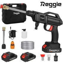 Reggie 무선 고압 세차기 충전식 세차 건 휴대용 물 스프레이 건 압력 청소기, 플라스틱 상자, 2 x 배터리