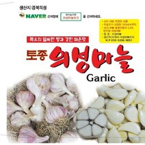 2023년도 마늘 통마늘 한지형 의성마늘 햇마늘 +10톨 덤, 1개, 의성씨마늘 중품3kg 100-120개
