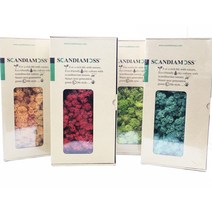 스칸디아모스 500g 천연 이끼 공기정화 이끼식물 DIY 세트, 퍼플20g, 1개