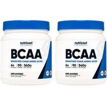 BCAA 파우더 90회분 무맛 2병, 단품, 단품