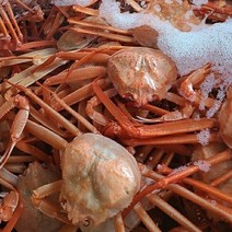 동해 자연산 자숙 홍게 고급형 3kg, 상세페이지 참조