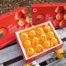 제주 천혜향 3kg(9~12수 대과선물용 이중포장) 그윽한 향과 팡팡 터지는 과즙 품격있는 과일선물세트 박스무게포함