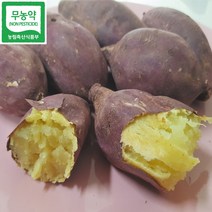 무농약인증 해남 퍽퍽한 밤고구마, 1.한입사이즈 3kg