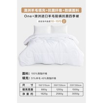 고급 양모이불 사계절 호텔 먼지없는 이불 여름 포근 램스울 심플 양털솜 겨울, 1.사계절 A타입
