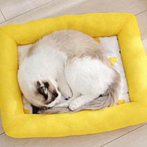 시원한 반려동물 쿨매트 고양이 강아지더울때 방석, 핑크
