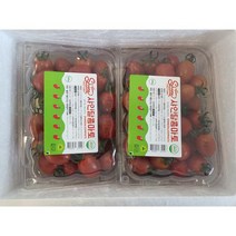 스테비아 방울토마토 500g팩 당도높은방울토마토 토마토효능, 국내산 스테비아 방울토마토 500g*12팩