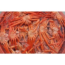 꿀꿀도매 자숙 연지홍게, 1개, 연지홍게_라면_10미