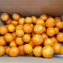 제주 카라향 3kg 선물용, 카라향 선물용3kg