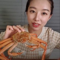 박달 홍게 자숙 영덕 포항 구룡포 수율보장 선주직송, 50g, 4.건홍게 해각포 50g