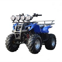 사륜바이크 ATV 사륜오토바이 UTV 성인용 오프로드 모든 지형 황소 무단 이중 4 250cc, 1.Little Bull