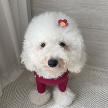 그루밍독 반려동물 반짝이 블링블링 플라워 헤어핀, 레드