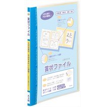 레이메이 후지이 상장 파일 A3 블루 LSB101A