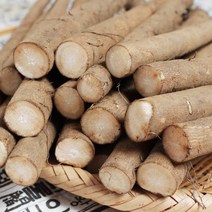 향긋한 23년산 안동 햇 우엉 2kg / 4kg, 1개, 5kg (알뜰)