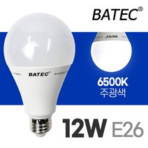 바텍 컨버터 LED 전구 12W E26 (내장형 LED전구 램프 볼전구 조명), 주광색, 건식 12W 220V 60Hz E26 주광색 컨버터내장형 LED램프, 1