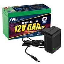 유아 전동차 리튬 인산철 배터리 대호토이즈 파파야나인 헤네스, 12V6AH인산철+2A충전기