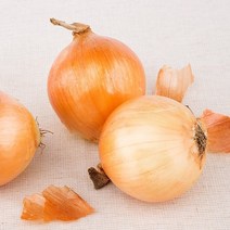 착한식탁 맛있는 햇 양파 10kg 특