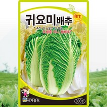 귀요미 배추씨앗 쌈 배추씨 종자 300립, 단품