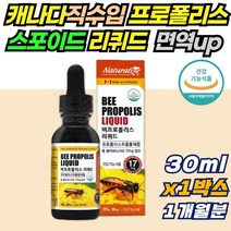 입안 항균 리퀴드 비 프로폴리스 스포이드 액상 1개월분 원액 하루 1번 5방울씩 원료 구강항균 면역력 높이는 보조제 영양제 포리폴리스 플라보노이드 활성산소 제거 아연 항산화, 30ml, 1개