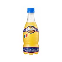 롯데 오랑지나 420ml x24펫 2160216, 24개