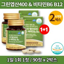 임산부 수유부 가임기 여자 남자 임신 전 준비 초기 부부 그린 엽산 영양제 비타민 b6 b12, 2박스