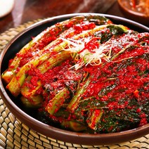 송완숙명인갓파김치세트 송완숙 명인의 여수 갓김치+파김치 세트(갓김치3kg+파김치3kg), 1