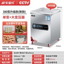 업소용진공포장기, B. Type380 단일펌프