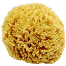 Unbleached Honeycomb Natural Sea Sponge - 100% Natural Strong Durable Hypoallergenic -for Childre, 5 ½ to 6