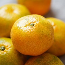 [제주직송] 당도선별 찐 꿀당도 제주감귤 4.5kg (2S) 소과