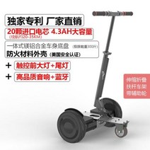 호버보드 전동휠 두발전동휠 동적 전기 균형 지능 인치 자기 스쿠터 호버 보드, 19