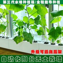 가정용 식물재배기 수경재배기 식물 재배기 수배채소 종채기 가정 베란다 흙없는 재배설비 자동 순환수경과과, 옵션01, 크다