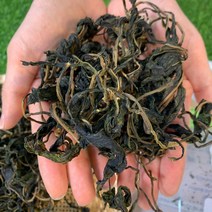 산지직송 울릉도 특산품 말린 부지갱이 100g 마른 나물 봄나물 건 취나물 농협, 1개