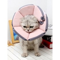강아지 넥카라 고양이 수술 후 헤드 보호 긁기 깔대기 목 야외 산책 소풍 여행 핥음 꼬깔, 검은 색