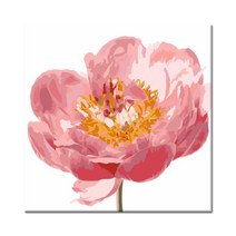 (물감2배)diy 명화 그리기AF15 분홍 모란 카페인테리어 그림 방 꾸미기 색칠 꽃 집콕