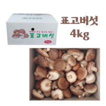 참나무 생표고버섯 표고 버섯 당일수확 식자재용 중품 4kg