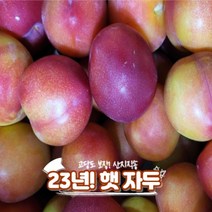 산지직송 김천 햇 자두 도담 추희 왕자두, 특 3kg, 1개
