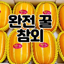 성주 꿀 참외 산지직송 당도선별 참외 정품(로얄과) 가정용 3kg 5kg 10kg, 정품3kg