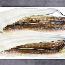 바다장어 붕장어 아나고 뼈제거손질장어, 바다장어 400g내외~500g내외