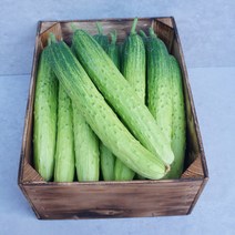 [프레베] 스마트팜 백다다기 오이(2개입 5개입), 백다다기오이(2개입)