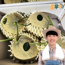 세지메론, 세론이 세지 메론 (특)품 노란박스, 2수, 2.5kg