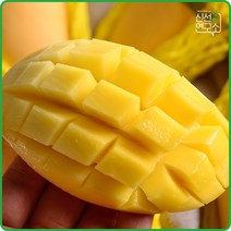[신선연구소] 태국 골드 망고 특대과 2.5kg 5-6과 내외, 단품